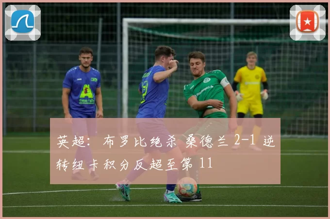 英超：布罗比绝杀 桑德兰 2-1 逆转纽卡积分反超至第 11