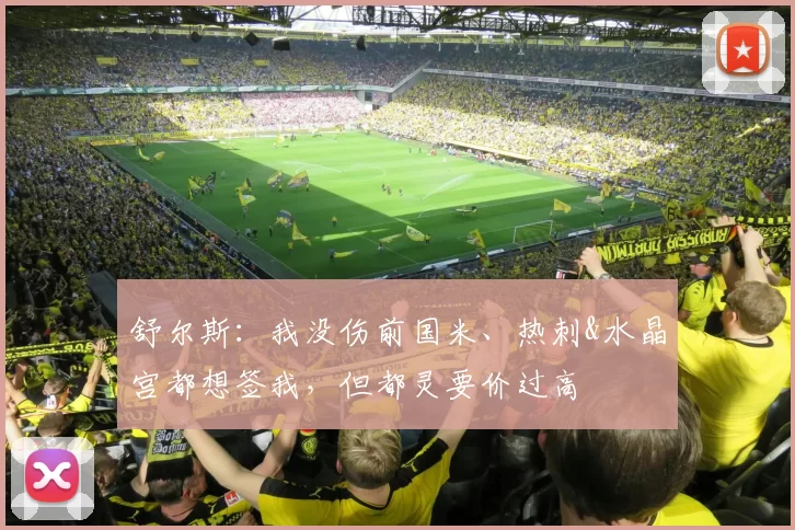 舒尔斯:我没伤前国米、热刺&水晶宫都想签我,但都灵要价过高