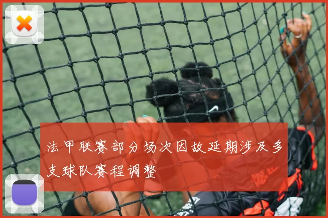 法甲联赛部分场次因故延期涉及多支球队赛程调整