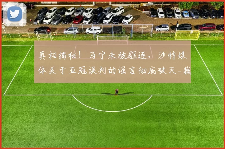真相揭秘！马宁未被驱逐，沙特媒体关于亚冠误判的谣言彻底破灭_裁判_比赛_决赛