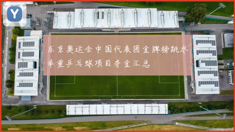 东京奥运会中国代表团金牌榜跳水举重乒乓球项目夺金汇总